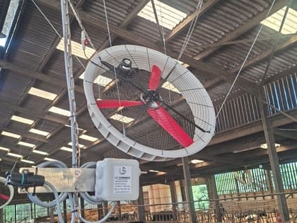 Brasseur d'air installé par LE SOMMER dans une stabulation bovine
