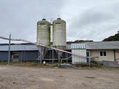 Convoyeur à œufs installé dans un bâtiment de pondeuses