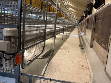 Ligne d'alimentation Landmeco installée dans un poulailler
