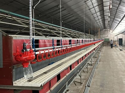Poulailler neuf entièrement équipé par LE SOMMER