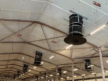 Ventilateurs de plafond installés dans un bâtiment avicole