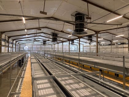 Intérieur d'une volière avicole équipée avant la mise en service du bâtiment