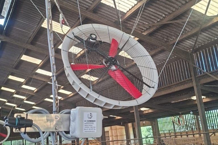 Brasseur d'air installé par LE SOMMER dans une stabulation bovine